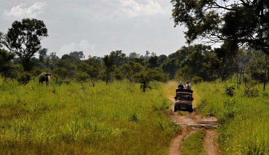 National Parks in Sri Lanka
