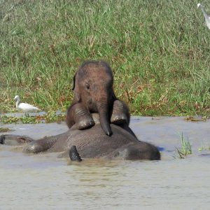 Sri Lanka At a Glance