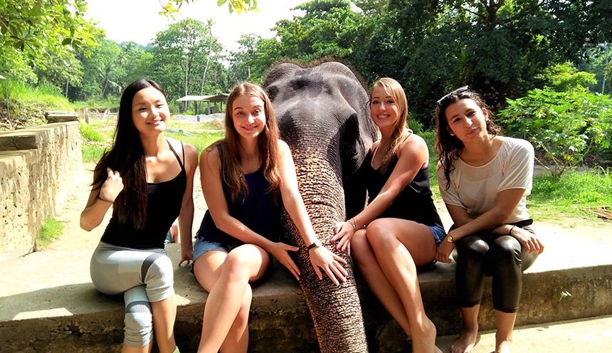 Elephant Foundation